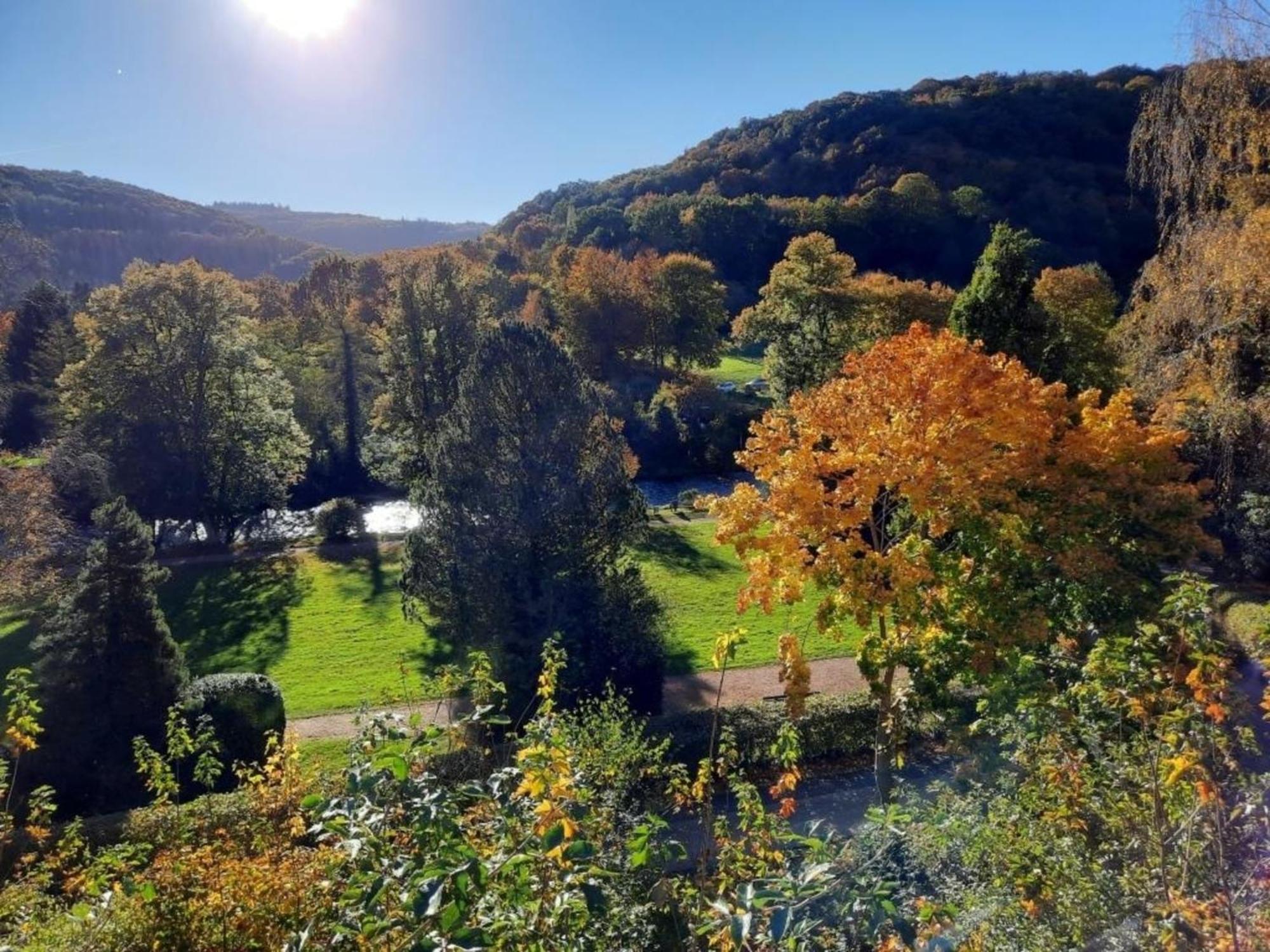 Ferienhaus &#039Freund Am See&#039 1 Heimbach Bagian luar foto
