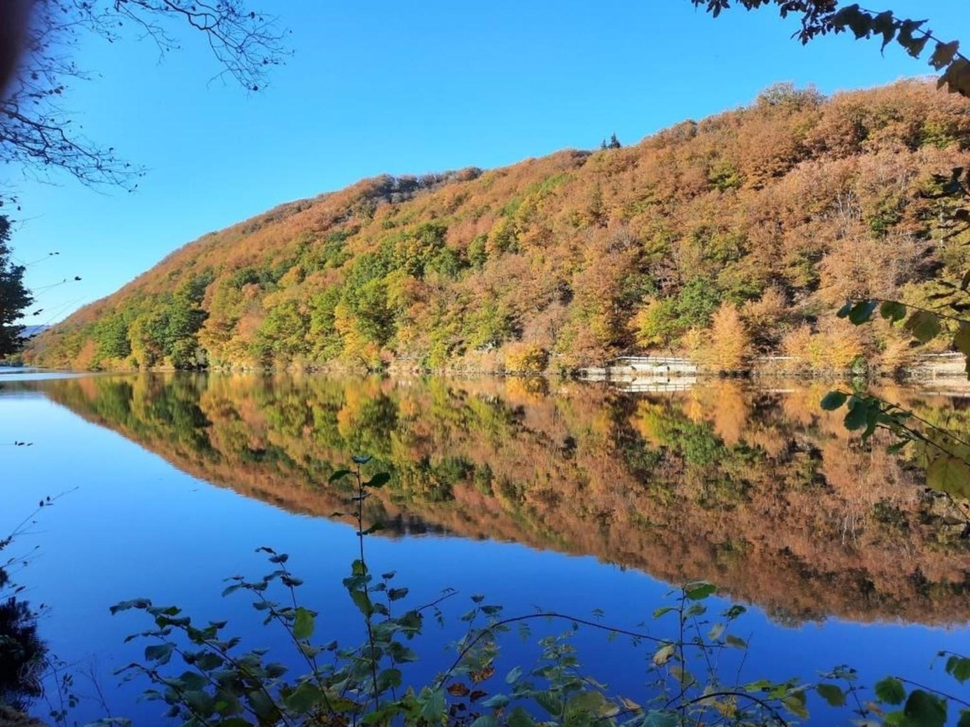 Ferienhaus &#039Freund Am See&#039 1 Heimbach Bagian luar foto
